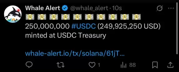 DustyBC Crypto