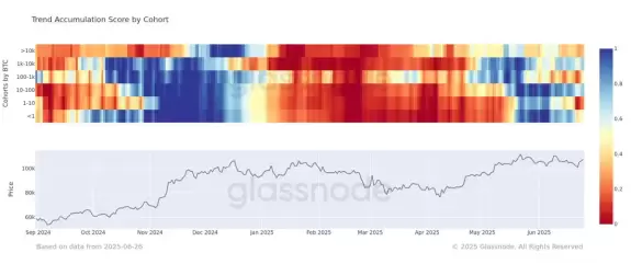glassnode