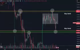 Daan Crypto Trades