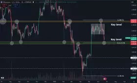 Daan Crypto Trades