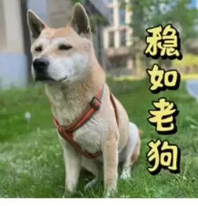 勇往直前