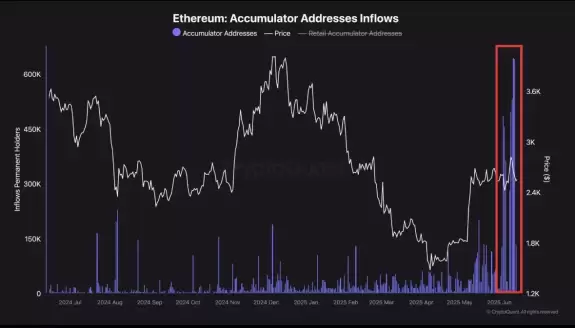 Mister Crypto