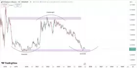 Crypto Fella