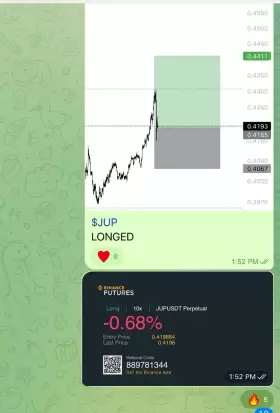 raizelXbt