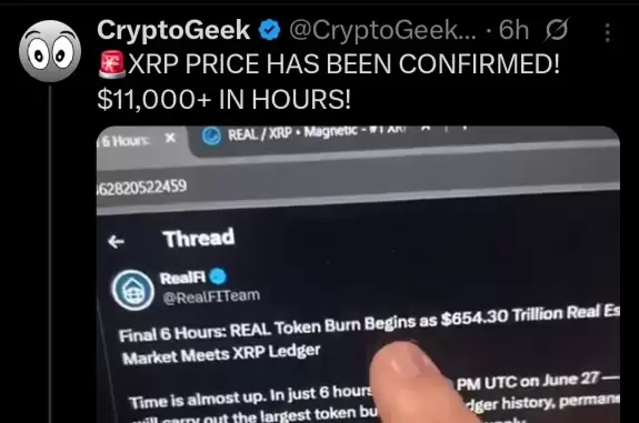 Crypto Dubzy