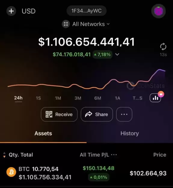 Bitcoin professor