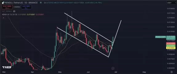 Crypto Raven