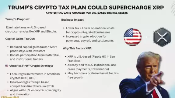 X Finance Bull