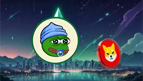 Shiba Inu，Pepe和Trader的预测：小佩佩是下一个大事吗？
