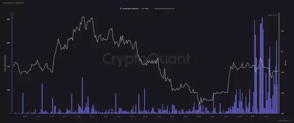 Bitbull