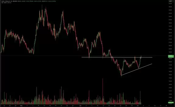 Bitcoin Rambo