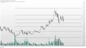 Altcoin Sherpa