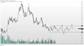 Altcoin Sherpa