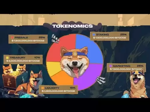 Ich habe das BitDoge -Token -Projekt überprüft.