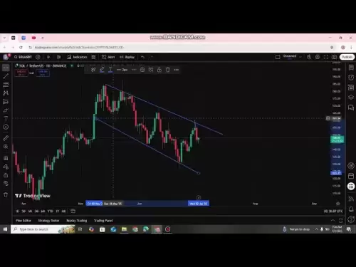 sol market update || Too much Bullish coin