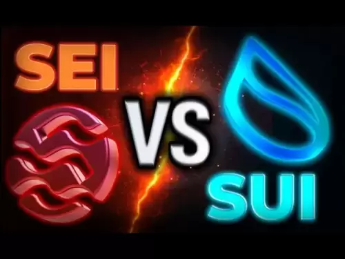 SUI vs SEI：2025年哪个加密L1是哪个加密货币？