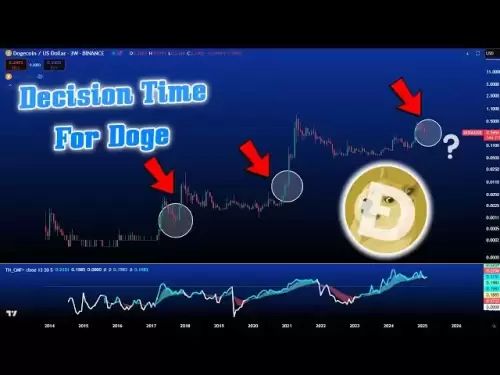 🚨写作在今年夏天即将到来的壁币和狗狗泵上！ Doge今天更新