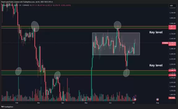 Daan Crypto Trades