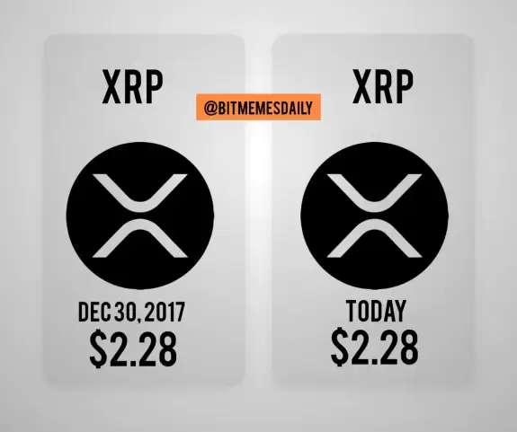 BitMemes Daily