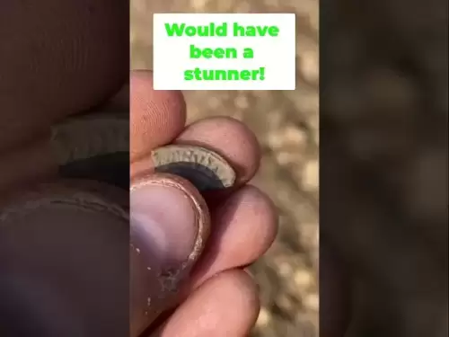 Le détecteur de métaux trouve une pièce de monnaie Henry VIII rare! (Près de l'état de la menthe)
