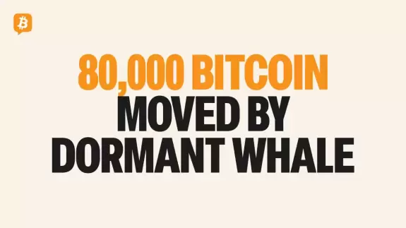 Bitcoin.com News