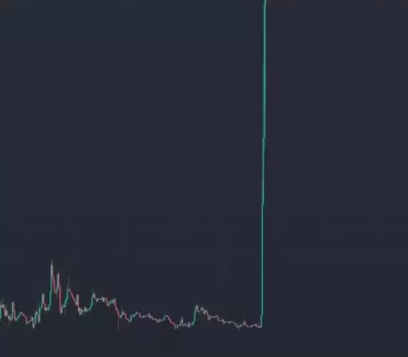 PI NEWS