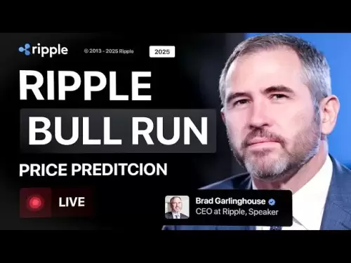 布拉德·加林豪斯（Brad Garlinghouse）：Ripple Bull Run確認！ XRP價格預測