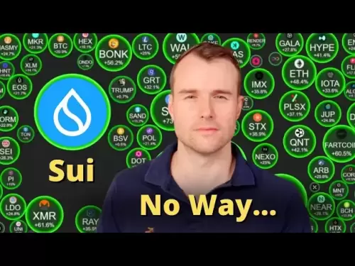 SUI操纵？ ⚠加密令牌分析