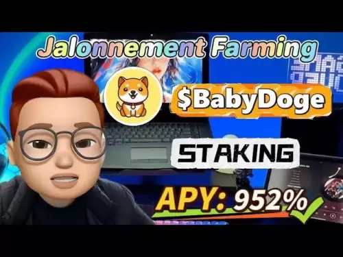 Comment profiter du marché haussier: Parce Babydoge Coin dans le projet avec 952% PY