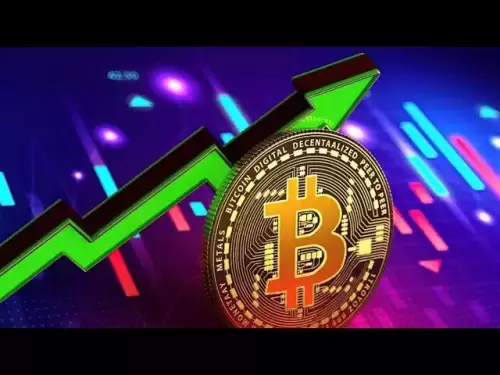 Analyse du marché en temps réel dans le cercle des devises, partage de position en temps réel