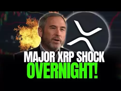 XRP即將在一夜之間震驚世界|在刪除之前觀看