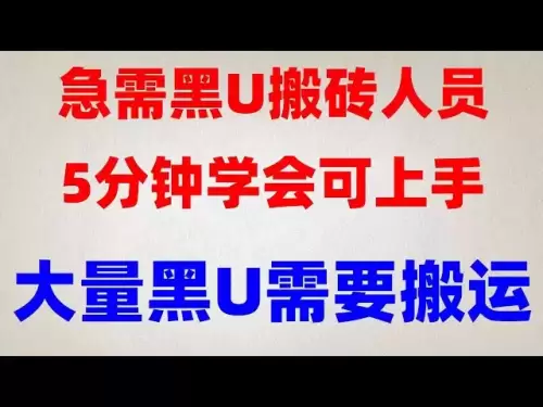 Black U Bitcoin 교차 교환 벽돌 이동 차익 거래 [Black Violent Project 2025] [USDT Grey Product Project] 30 분 동안 벽돌과 차익 거래를 움직이는 방법? 가상 통화 벽돌과 USDT 벽돌에 대한 1,000 위안의 실질 소득과 돈을 잃지 않고 바이니스에서 안정적인 이익을 얻는 방법?