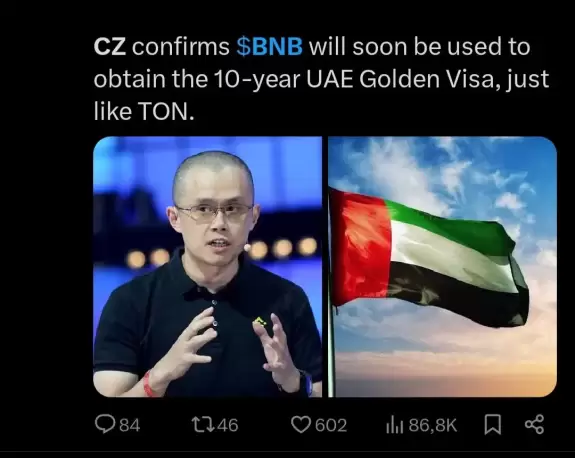 Crypto Professor
