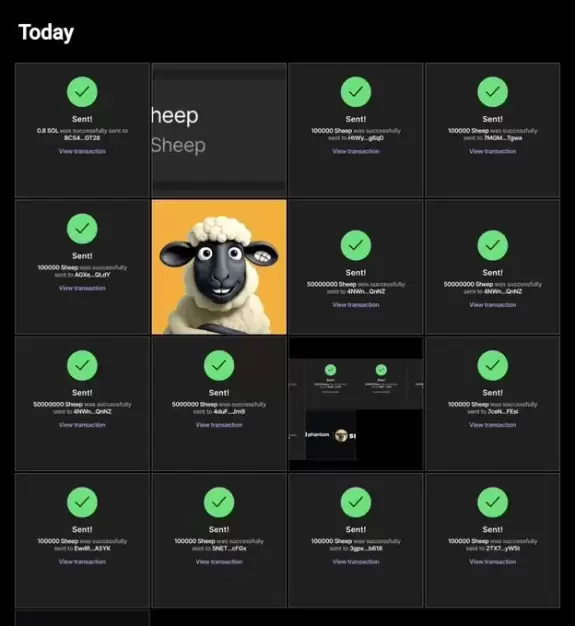 The Sheep🐏