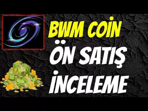 BWM硬币前萨莱斯评论！ BWM硬币可以大幅上升吗？