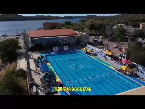 2025年FLOKI黑幕全揭秘：精准做空暴利全攻略