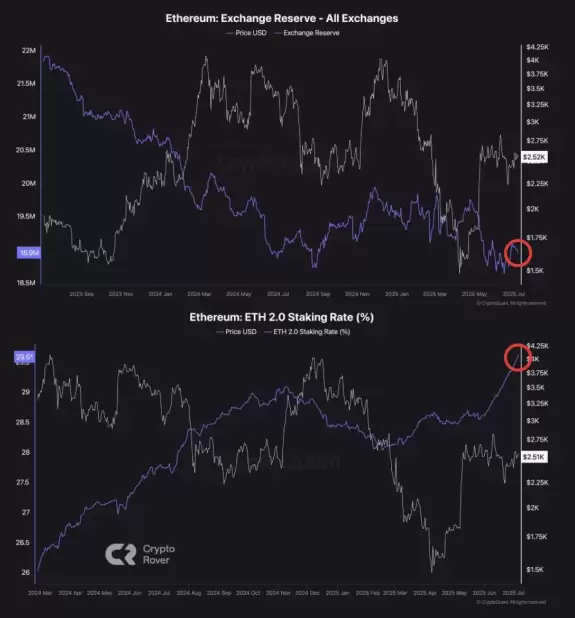 Crypto Rover
