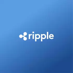Whale Insider