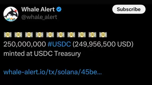Crypto Rover