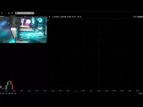 Bitcoin Contract Factory Manager-Bollyn Bands Live