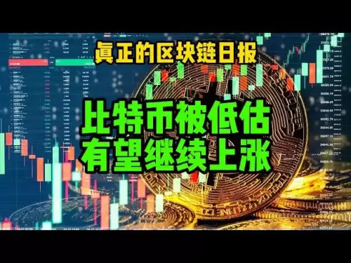 区块链日报（529）比特币被低估，有望继续上涨