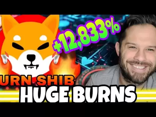 Shiba Inu Coin | L'augmentation de 12 833% du taux de brûlure du shib est un signe fort!