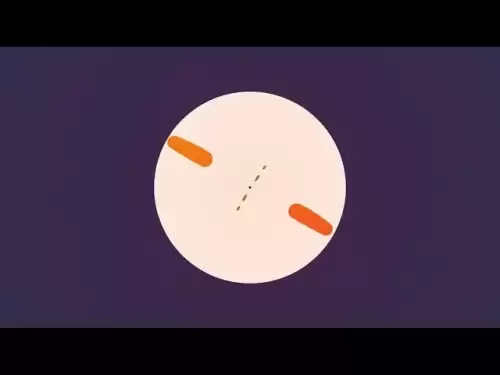 Token enveloppé USDT (WUSDT)