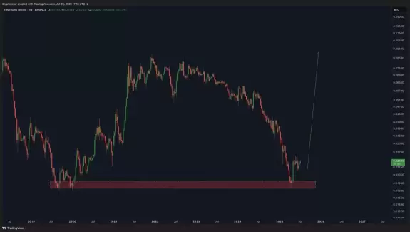 Crypto Rover