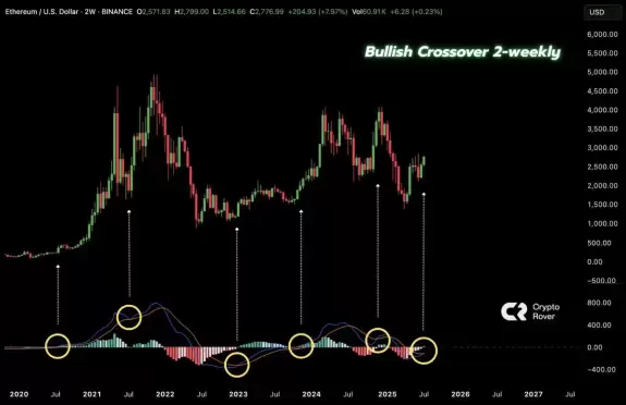 Crypto Rover