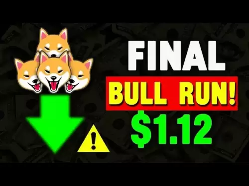 Warum Shiba Inu's Preis ohne massive Token -Verbrennungen in die Höhe schnellen könnte!