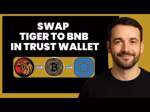将老虎代币交换至BNB的信任钱包|快速简便的指南