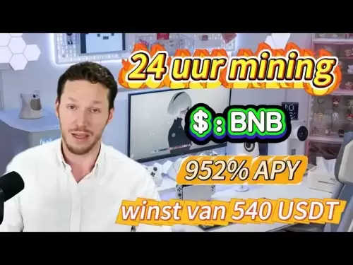 牛市财富策略：赌注BNB硬币 - 赚取大量APY的收入