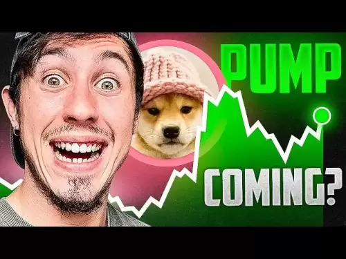 Dogwifhat Meme Coin Pumping Now- $ WIFはさらに高くなりますか？！
