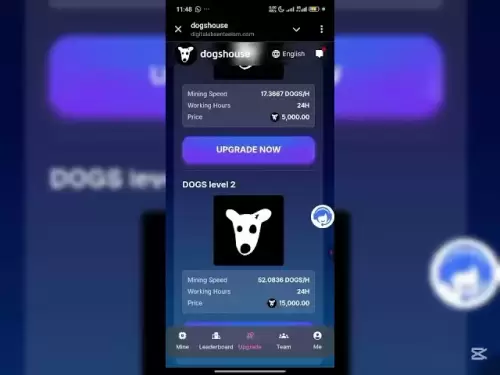 在電報上賺取加密貨幣| |免費的狗令牌=免費的USDT！